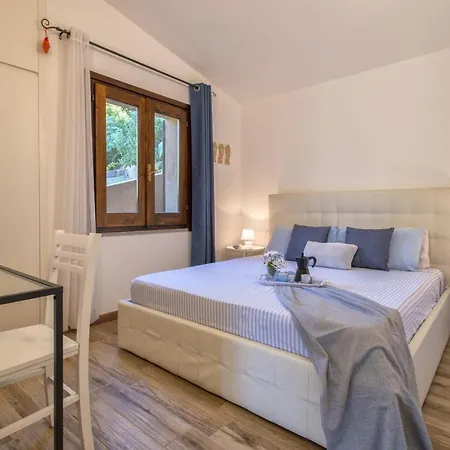 Aloe * Costa Paradiso